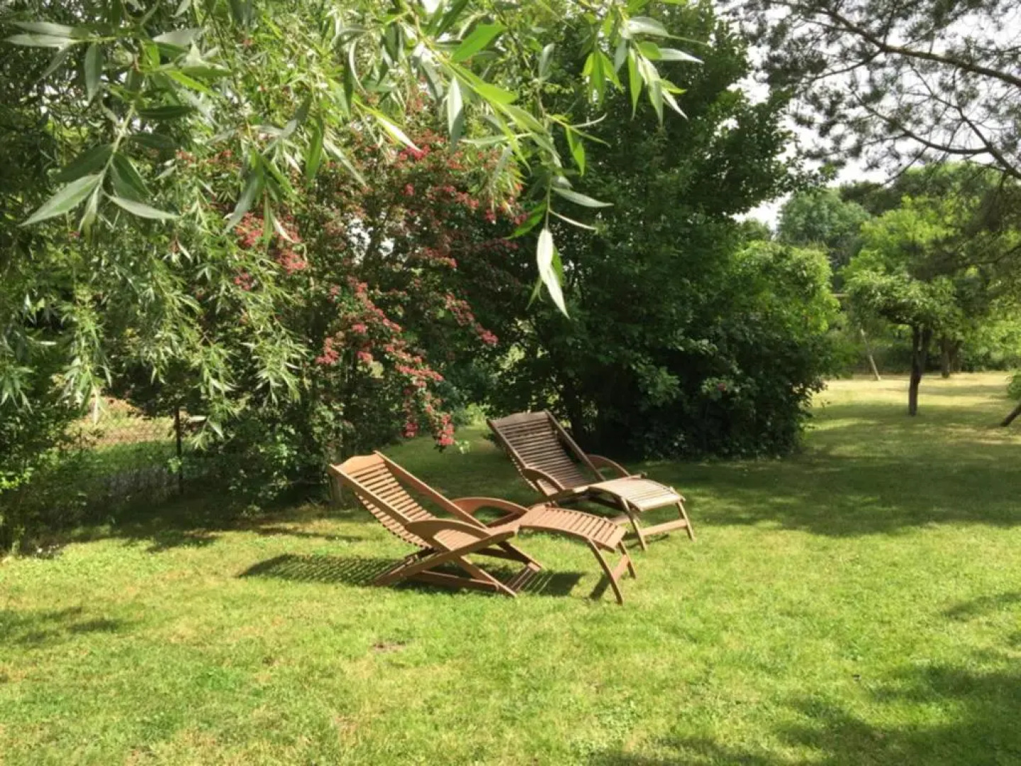 Ferienhaus in Bartelshagen II