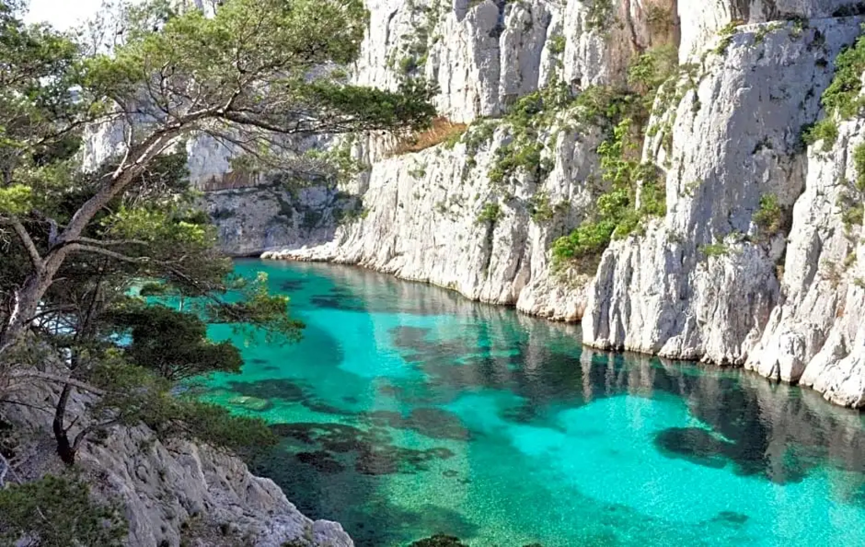 Le Patio des Mimosas par Dodo-a-Cassis