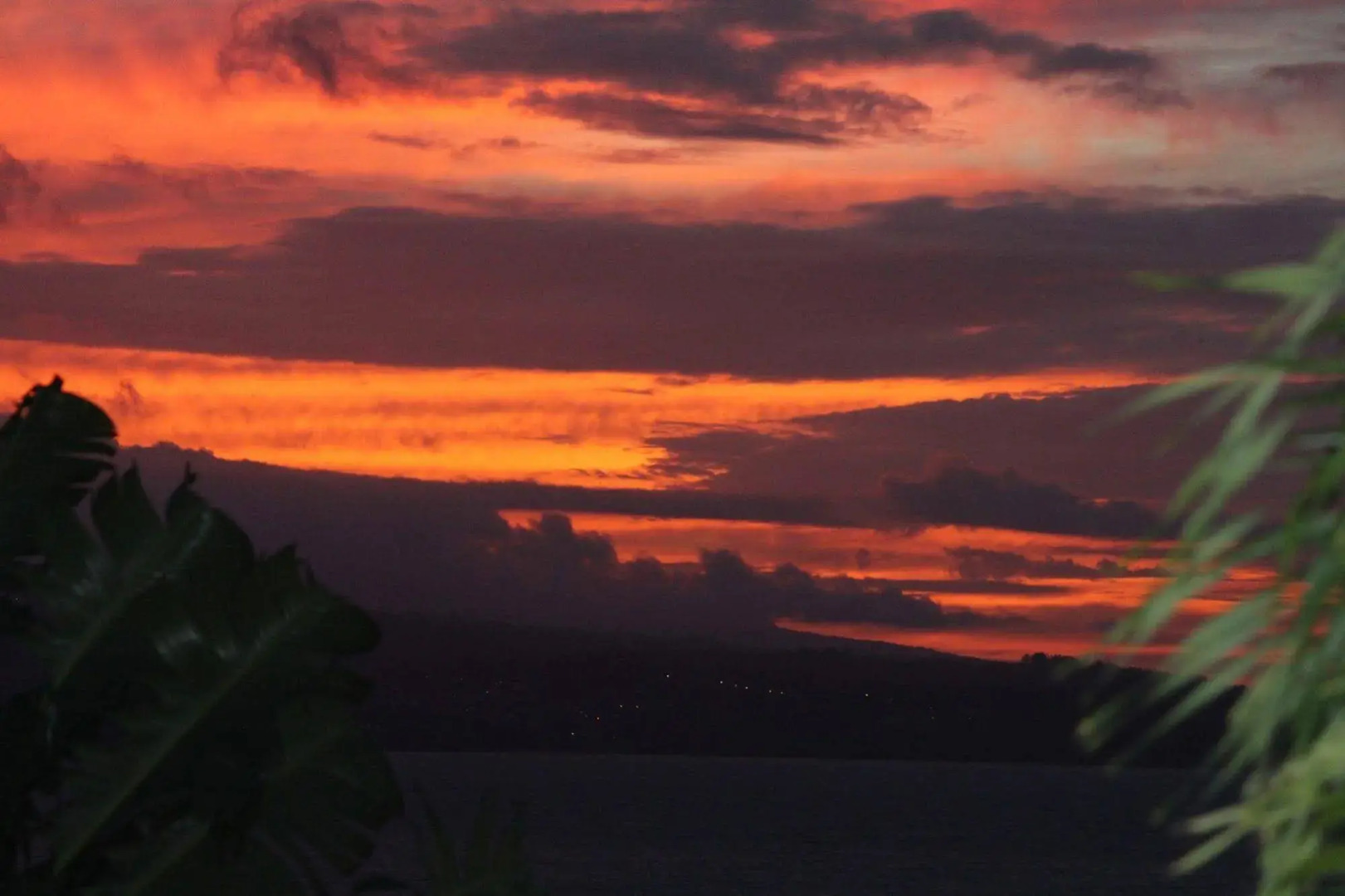 Le Verger de Sainte Luce