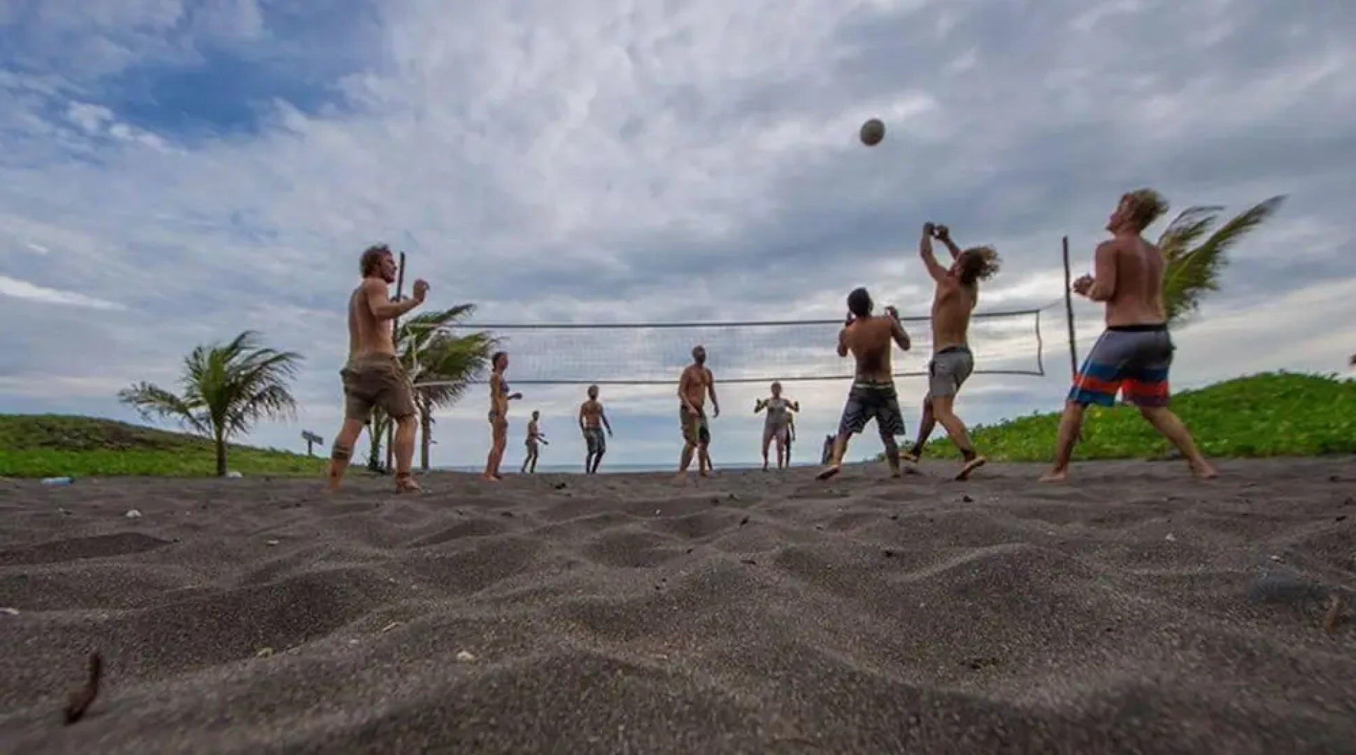 The Driftwood Surfer