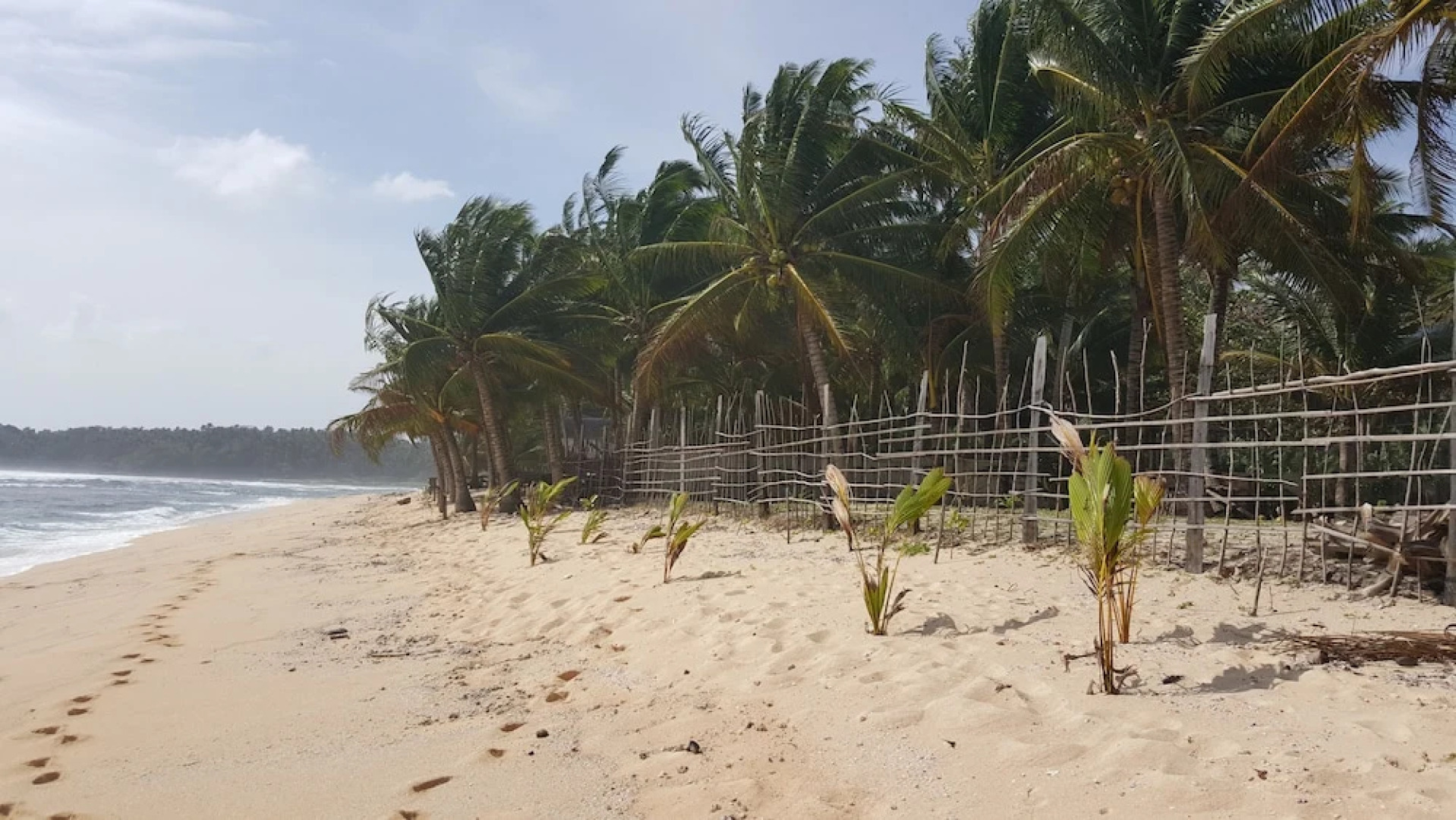 Calypso Surf and Dive