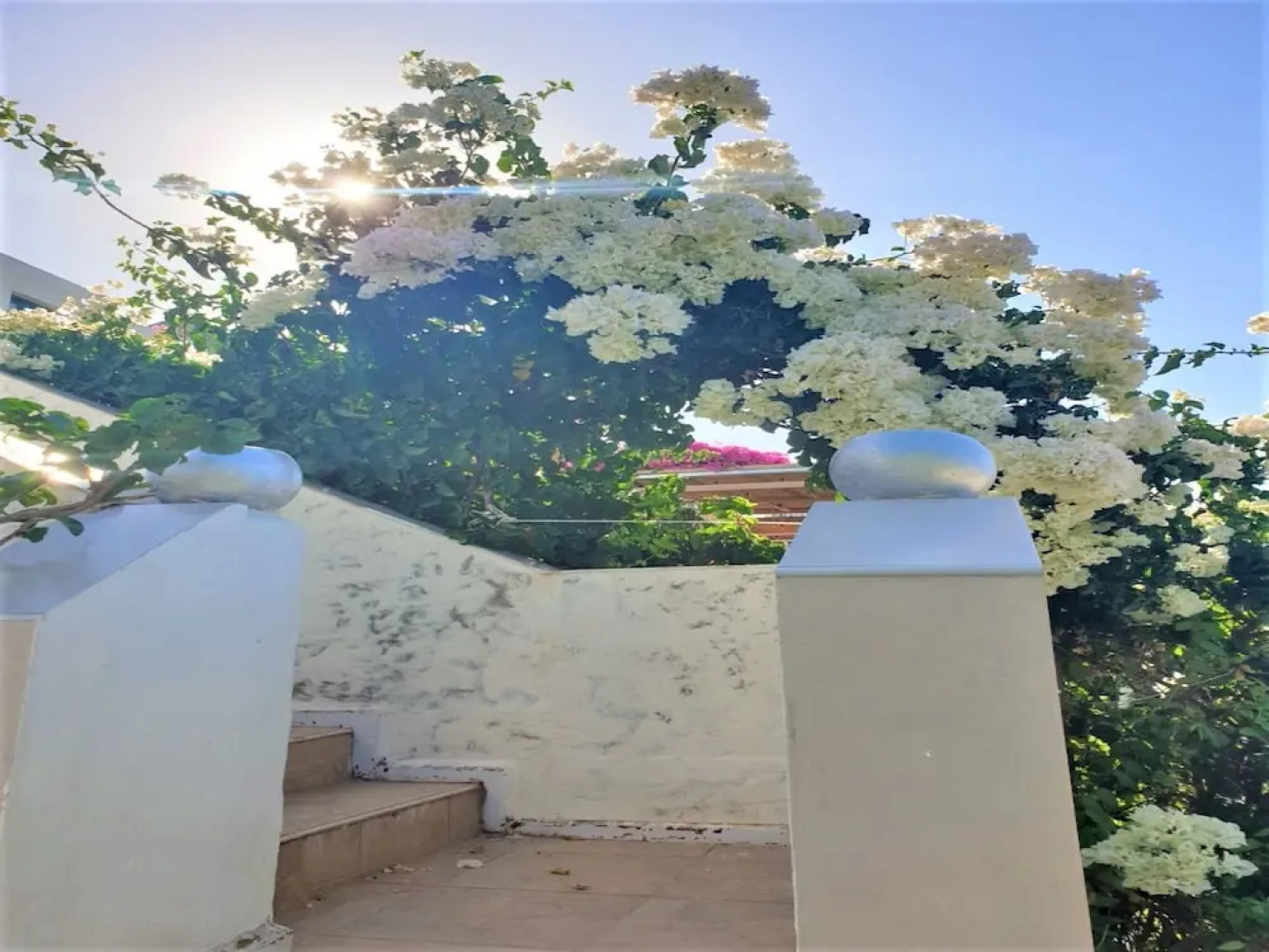 Entire Private Suite Sea Full View With Balcony, Shared Pool and Air Conditionin