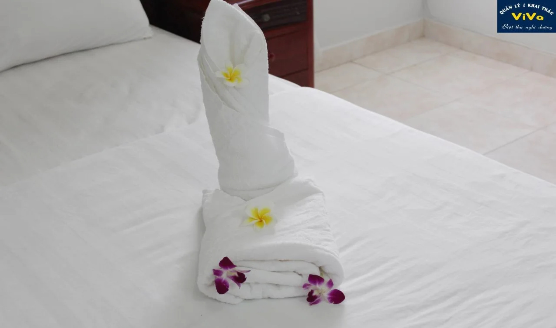 Viva Villa Sanctuary Ho Tram