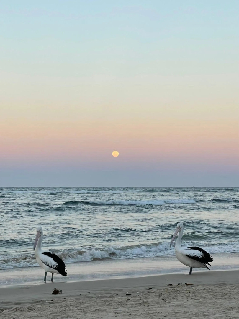 Wintersview 9 - Lennox Head