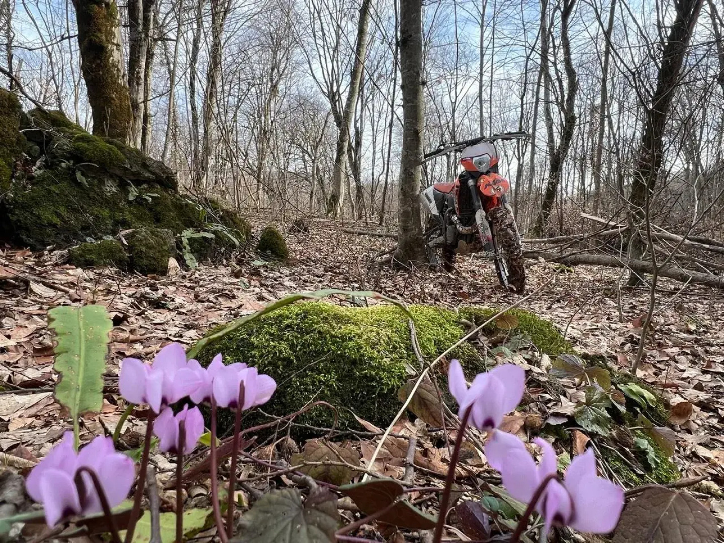 Ранчо в горах Лаго-Наки
