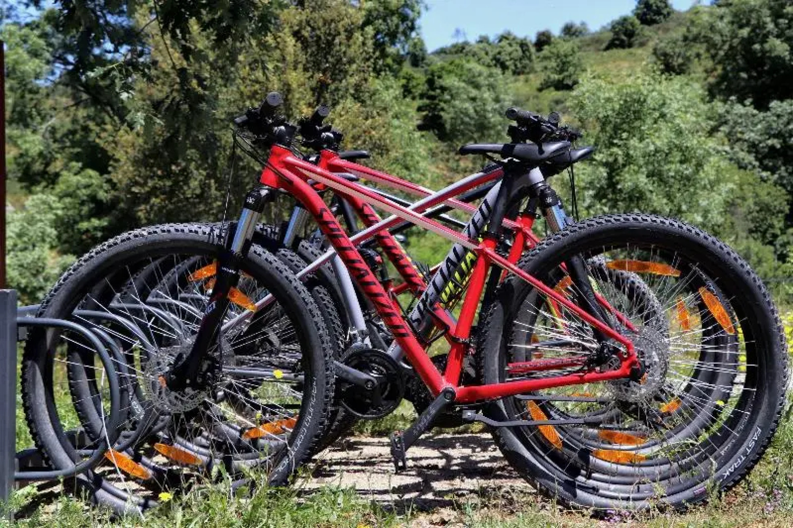 Encosta do Sobreiro - Serra da Estrela