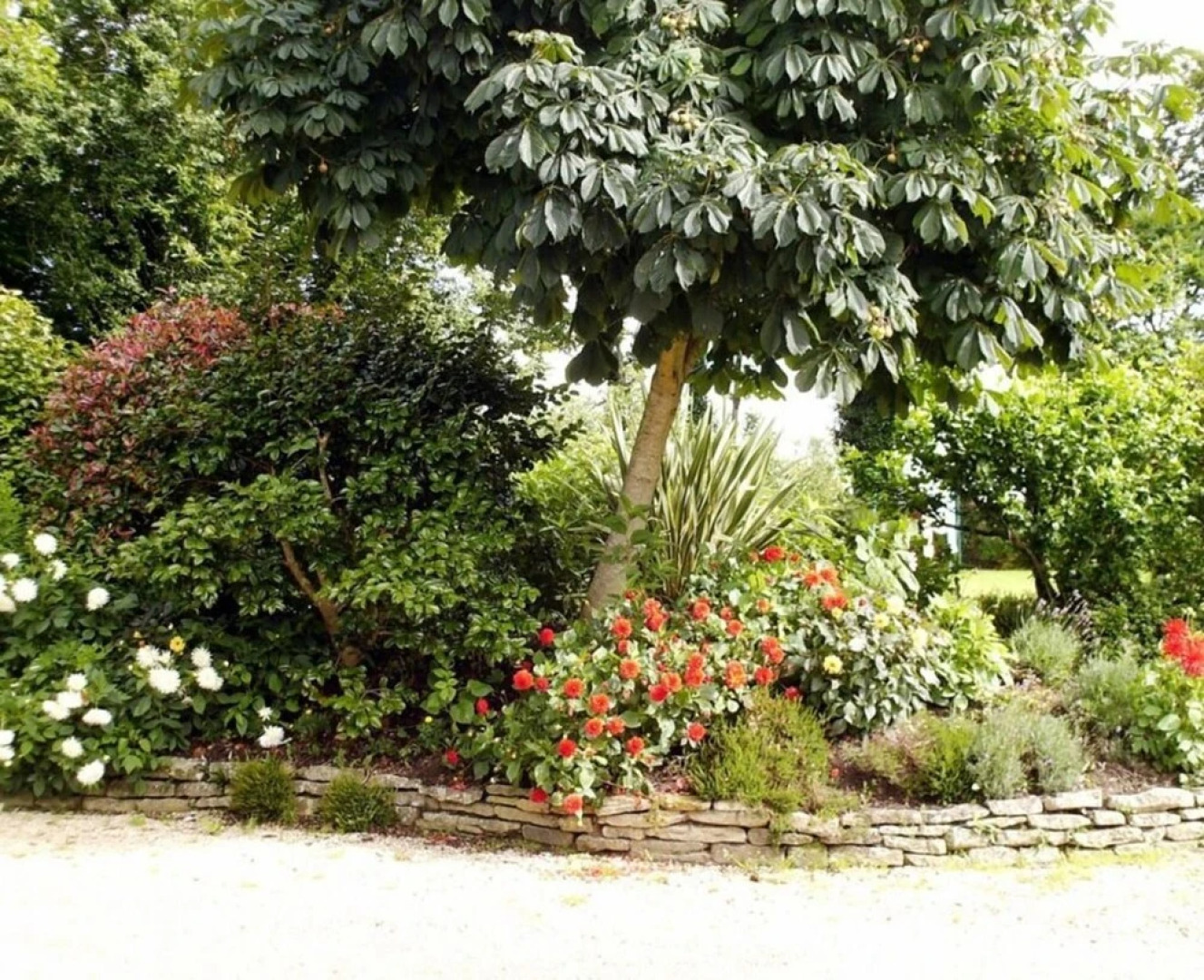 Les Pieds dans l'herbe gites