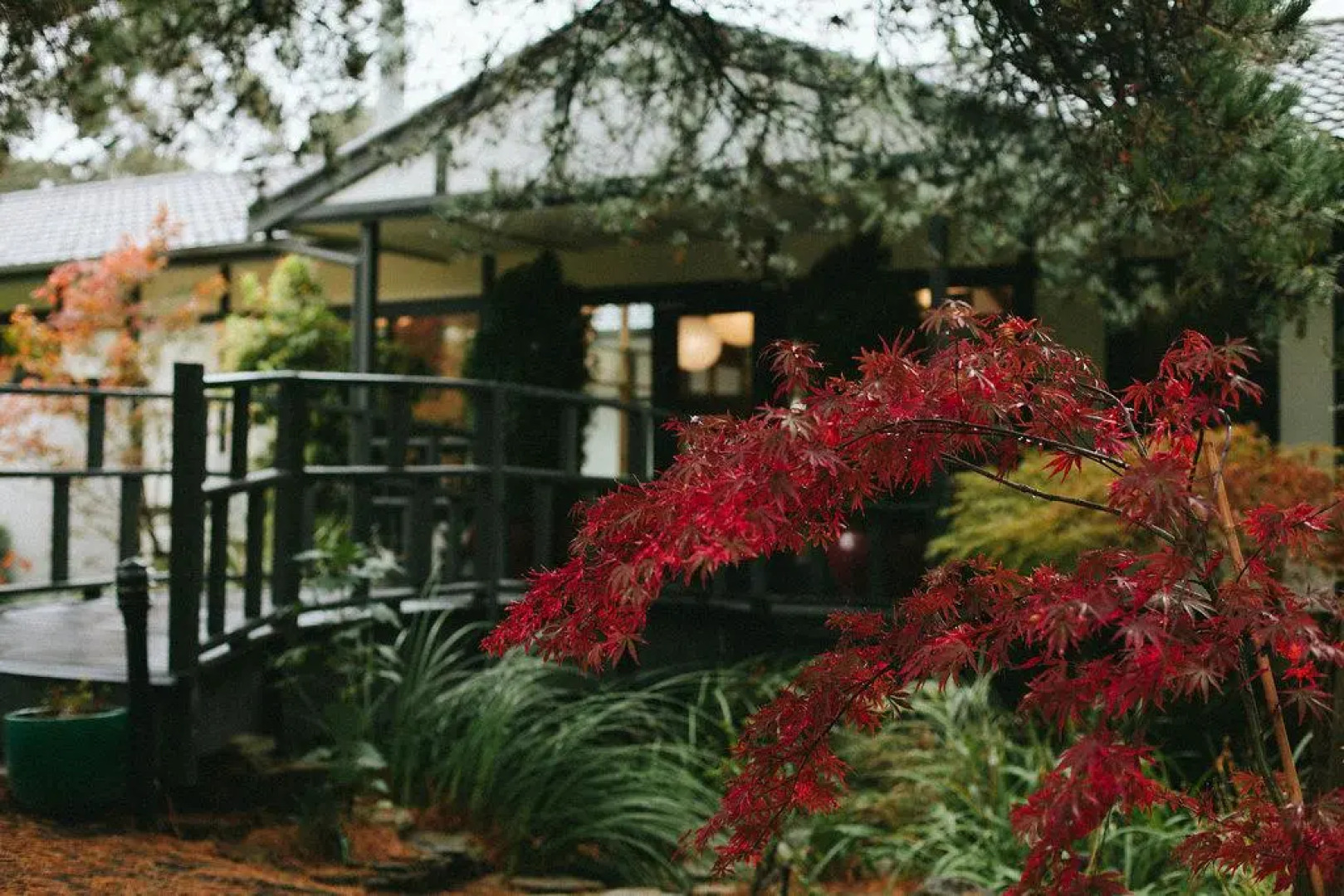 Shizuka Ryokan Japanese Country Spa & Wellness Retreat