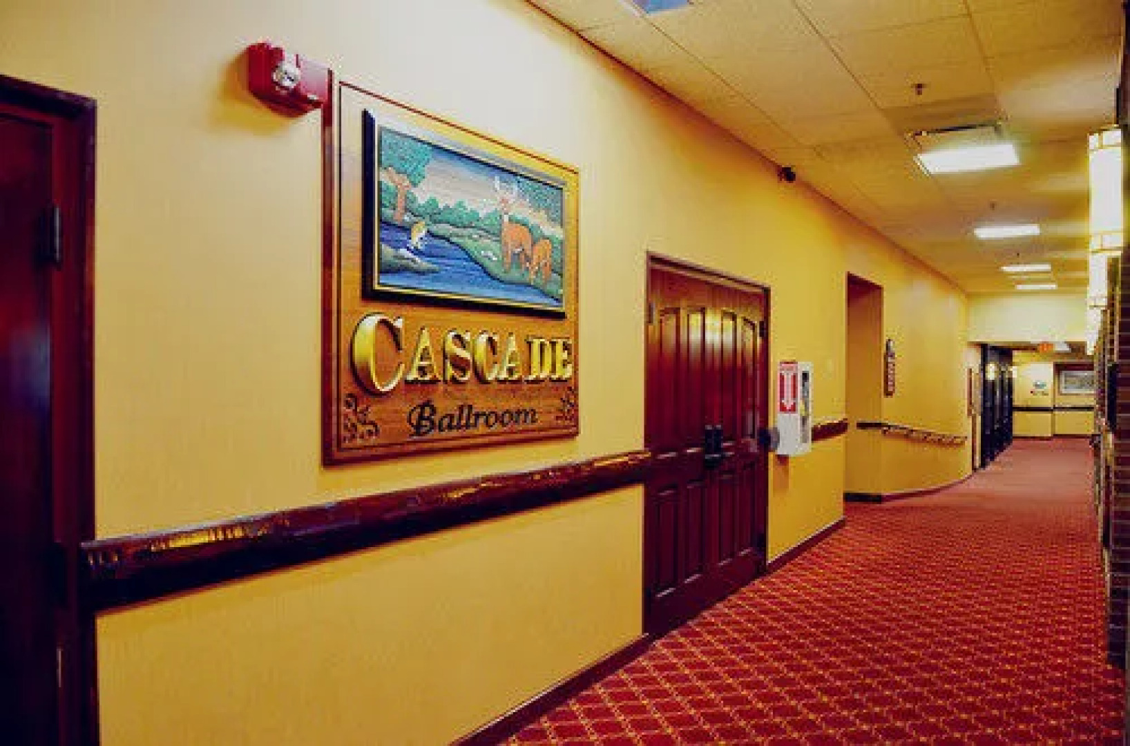 Fort Rapids Indoor Waterpark Resort