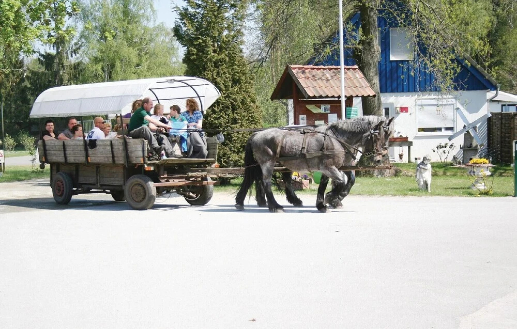 Stunning Home in Faßberg/heidesee With 2 Bedrooms, Wifi and Outdoor Swimming Pool
