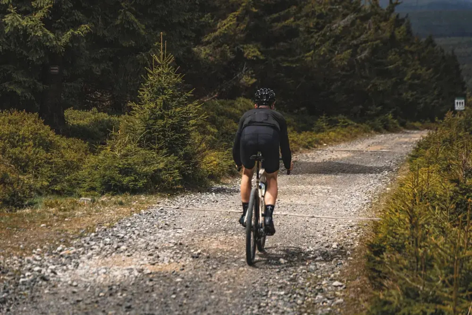 Forest Park Resort & SPA