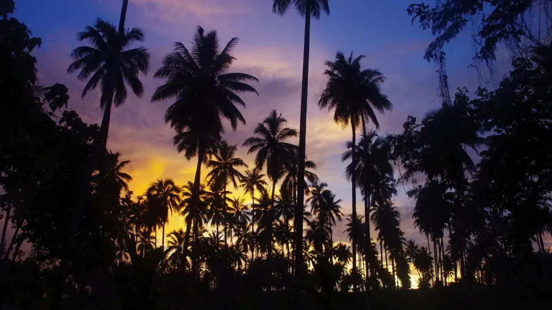 Tides Reach Beach House