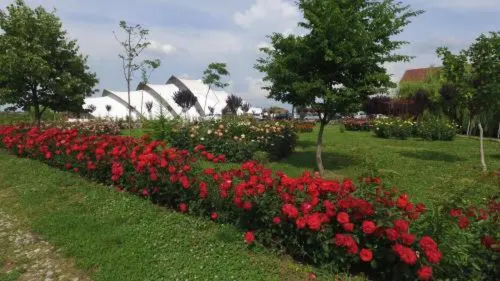 Hanul Moara cu Noroc