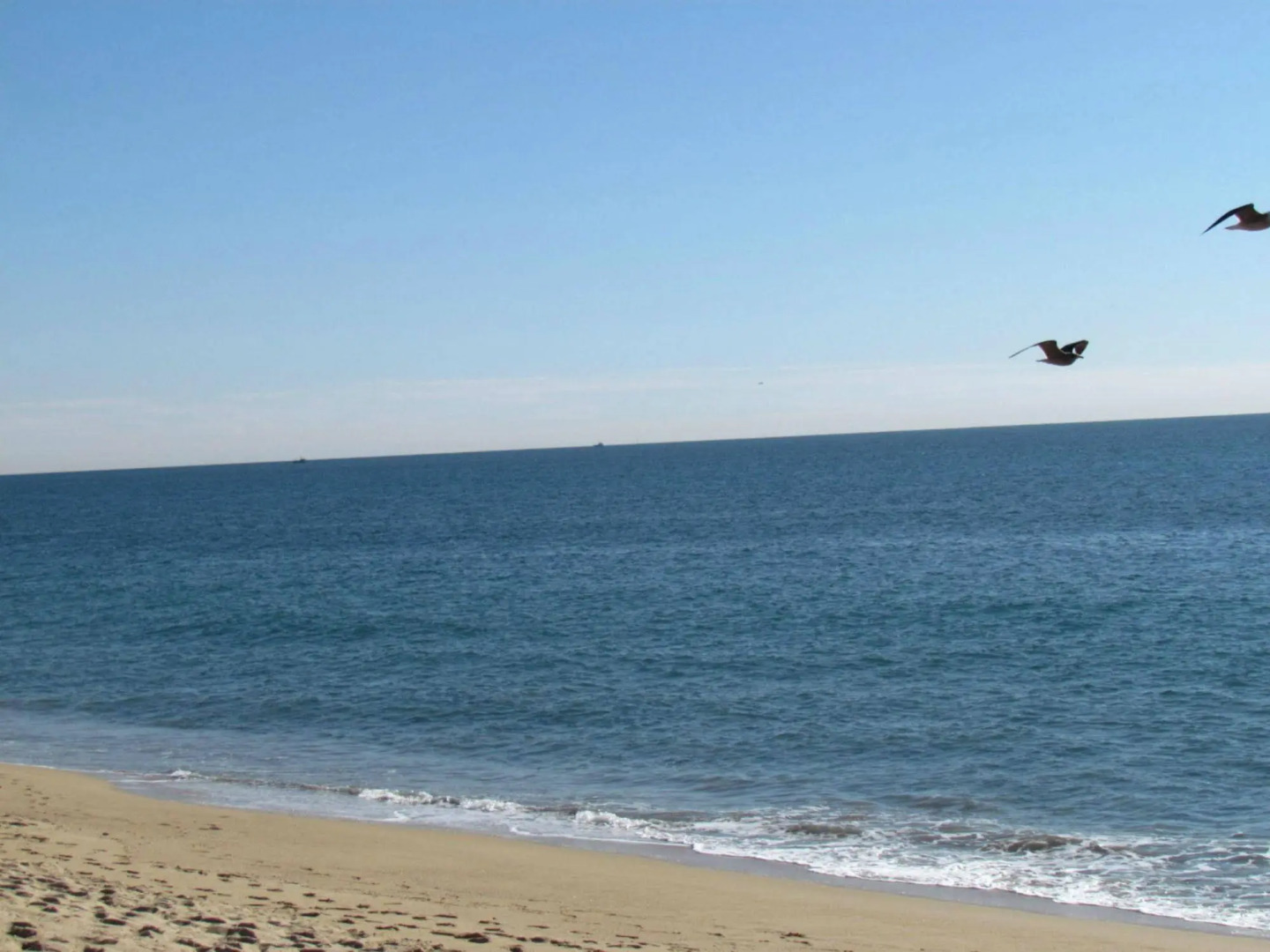 3 Bedroom Duplex with Ocean View