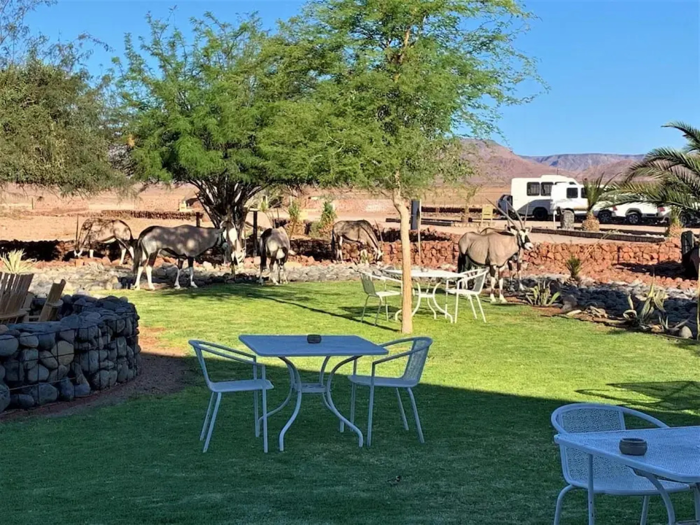 Elegant Desert Lodge