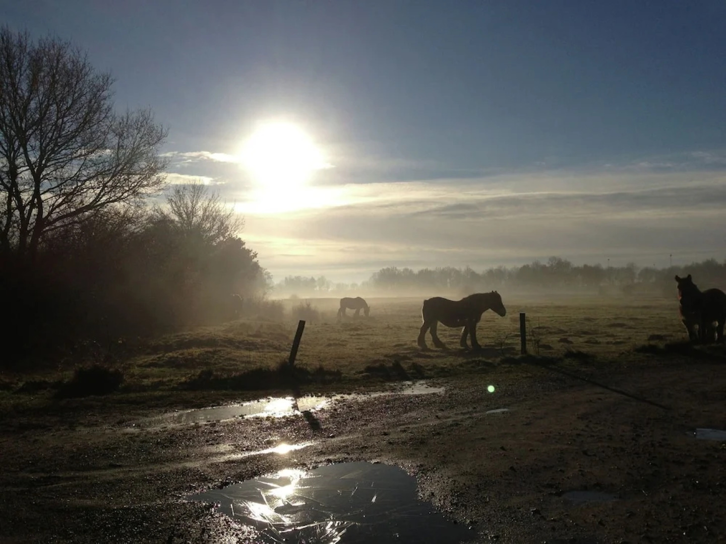 Lush Holiday Home in Oeffelt with 2 Saunas & Hot Tubs