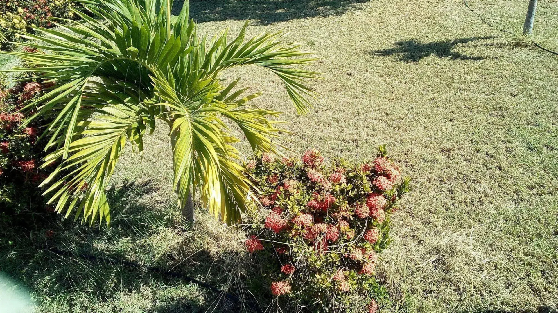 Treasure Bay Guesthouse