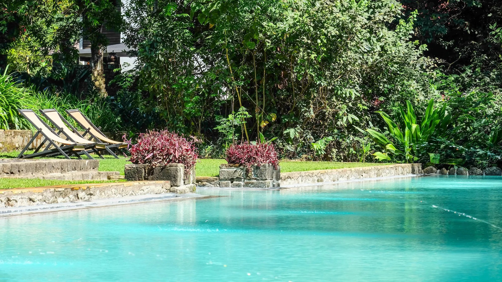 Ngare Sero Mountain Lodge