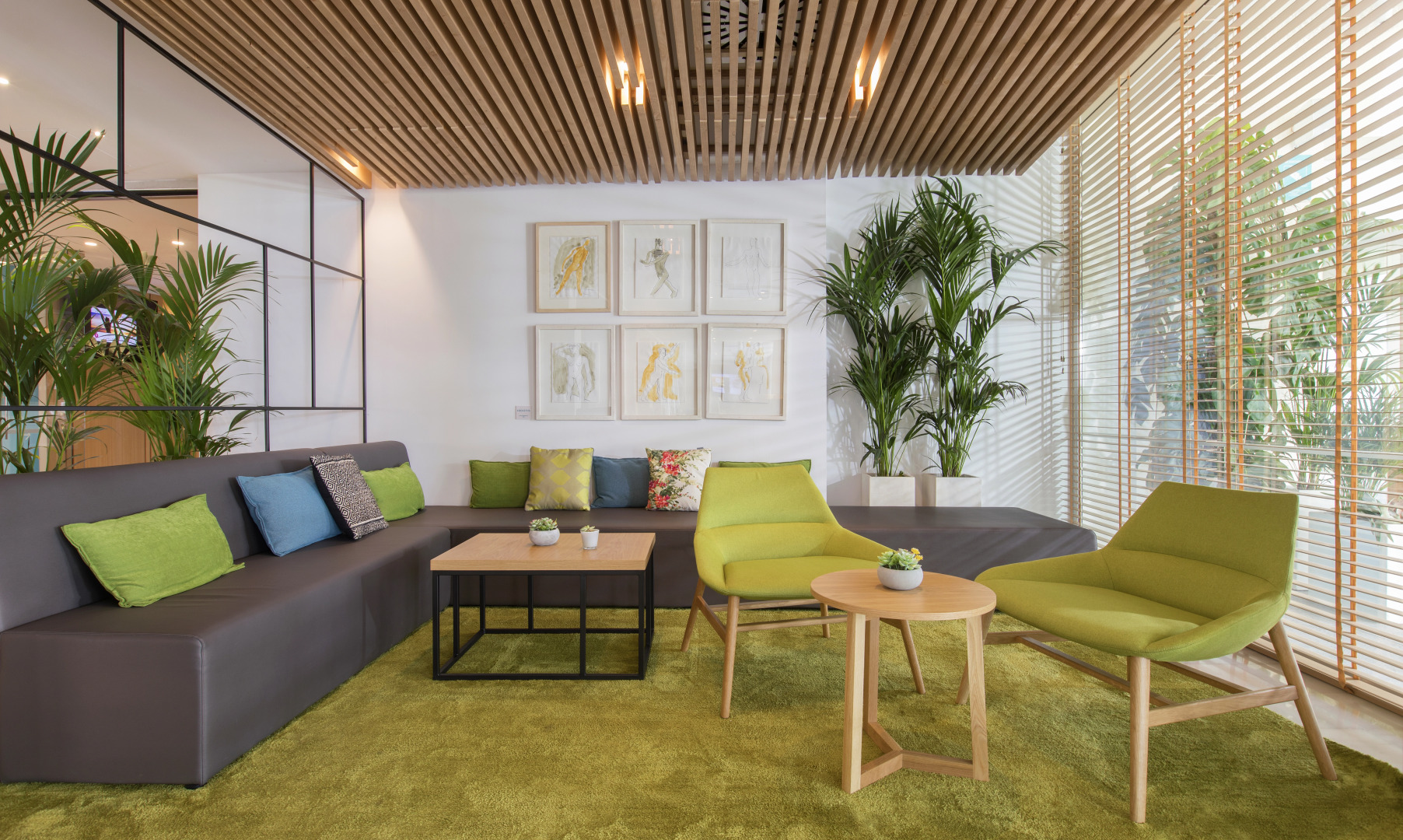 Отель JS Alcudi Mar