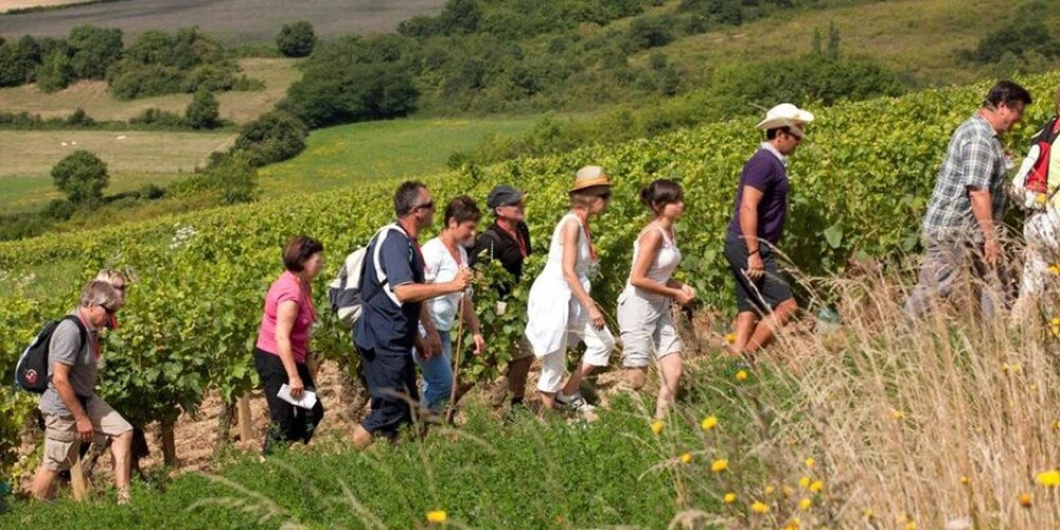 House With 3 Bedrooms in Cormot-le-grand, With Enclosed Garden and Wif