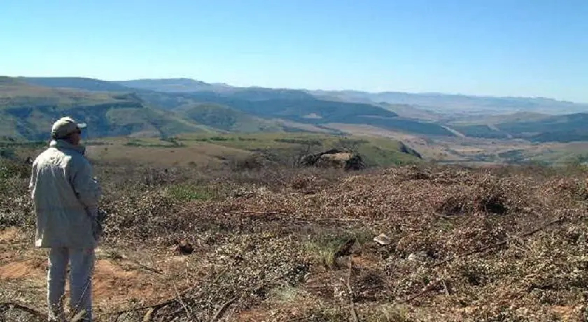 Five Assegais Country Estate