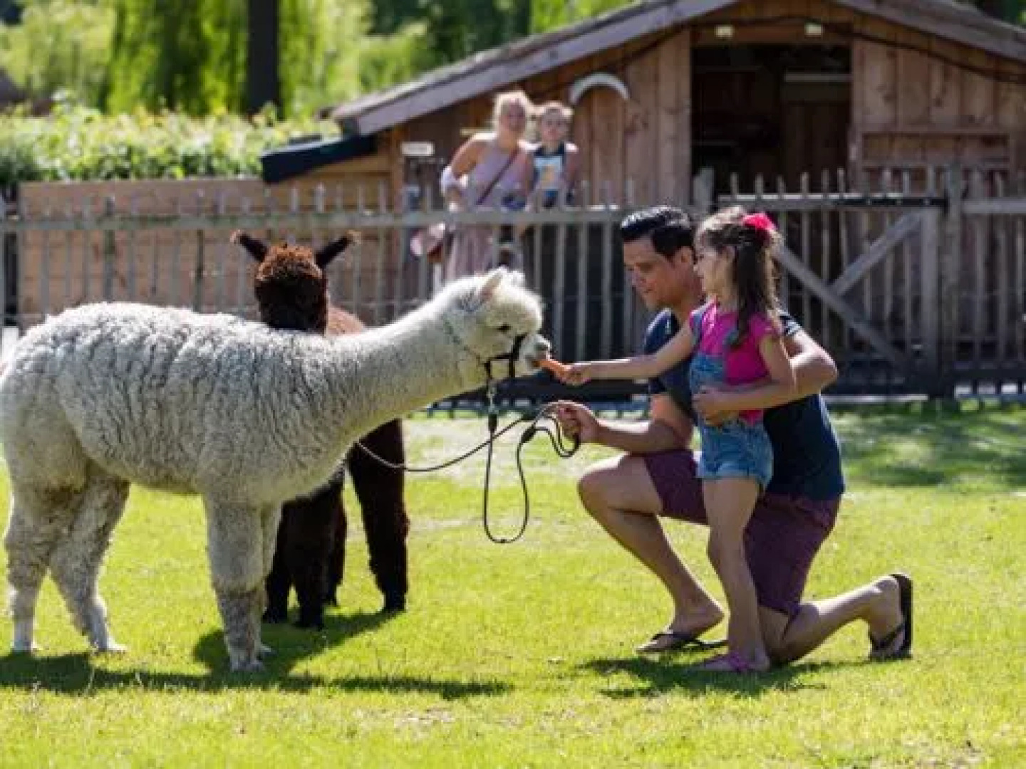 EuroParcs Resort Zuiderzee 10745