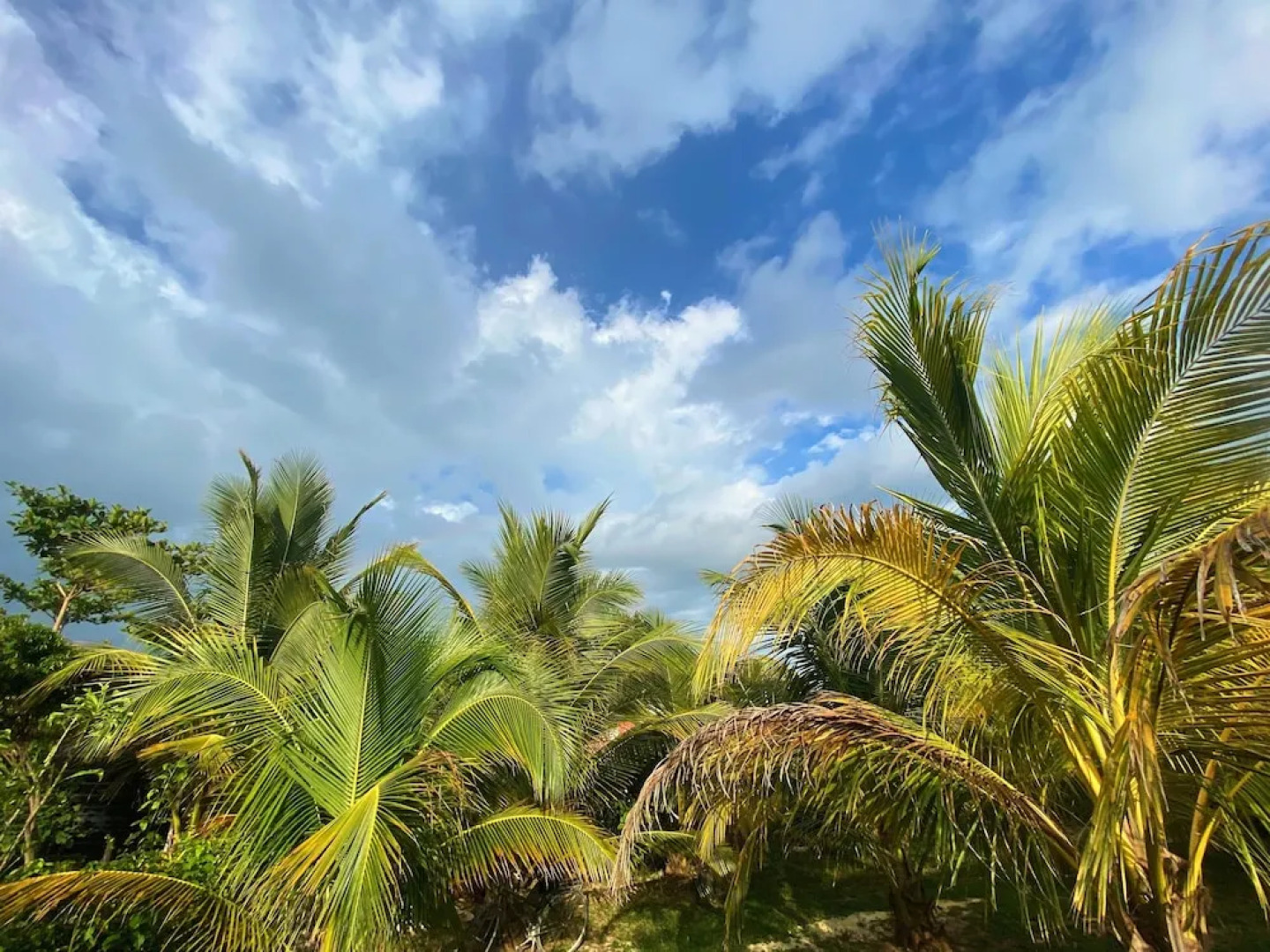 Judy House - Lewi's Backpacker Hostel