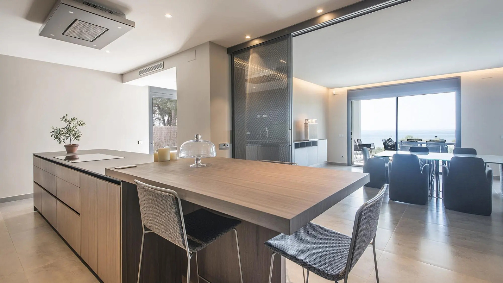 TH85-Limonium-9 in Tarragona