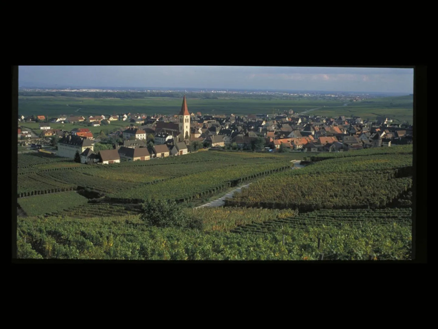 ibis Strasbourg Sud La Vigie