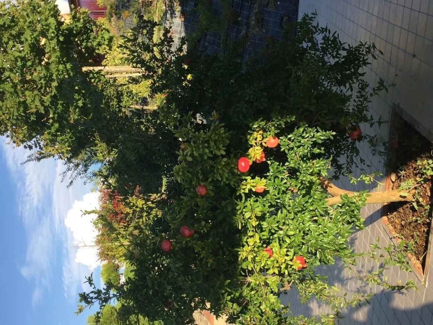 Casa Vacanza Villa Aurora