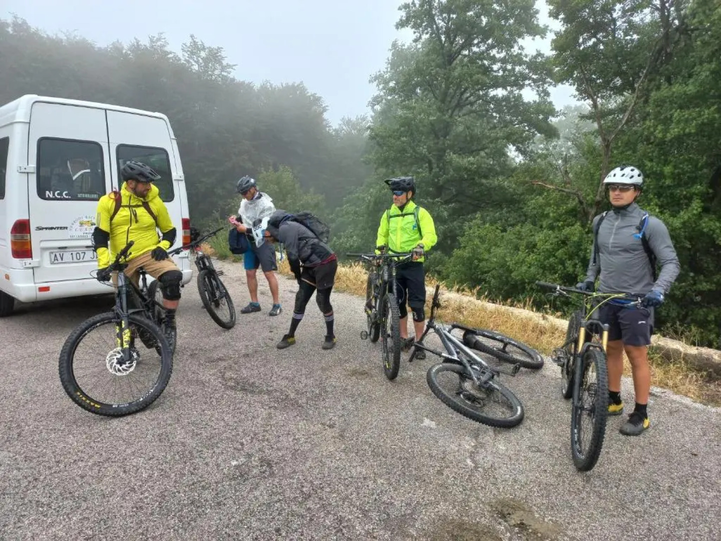 Bb Cesaro Mariolo House