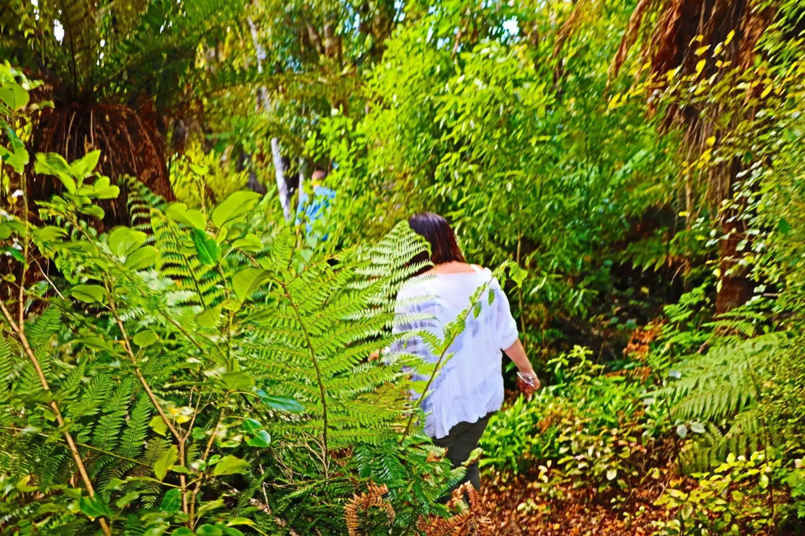 Mohua Park - Catlins Eco Accommodation