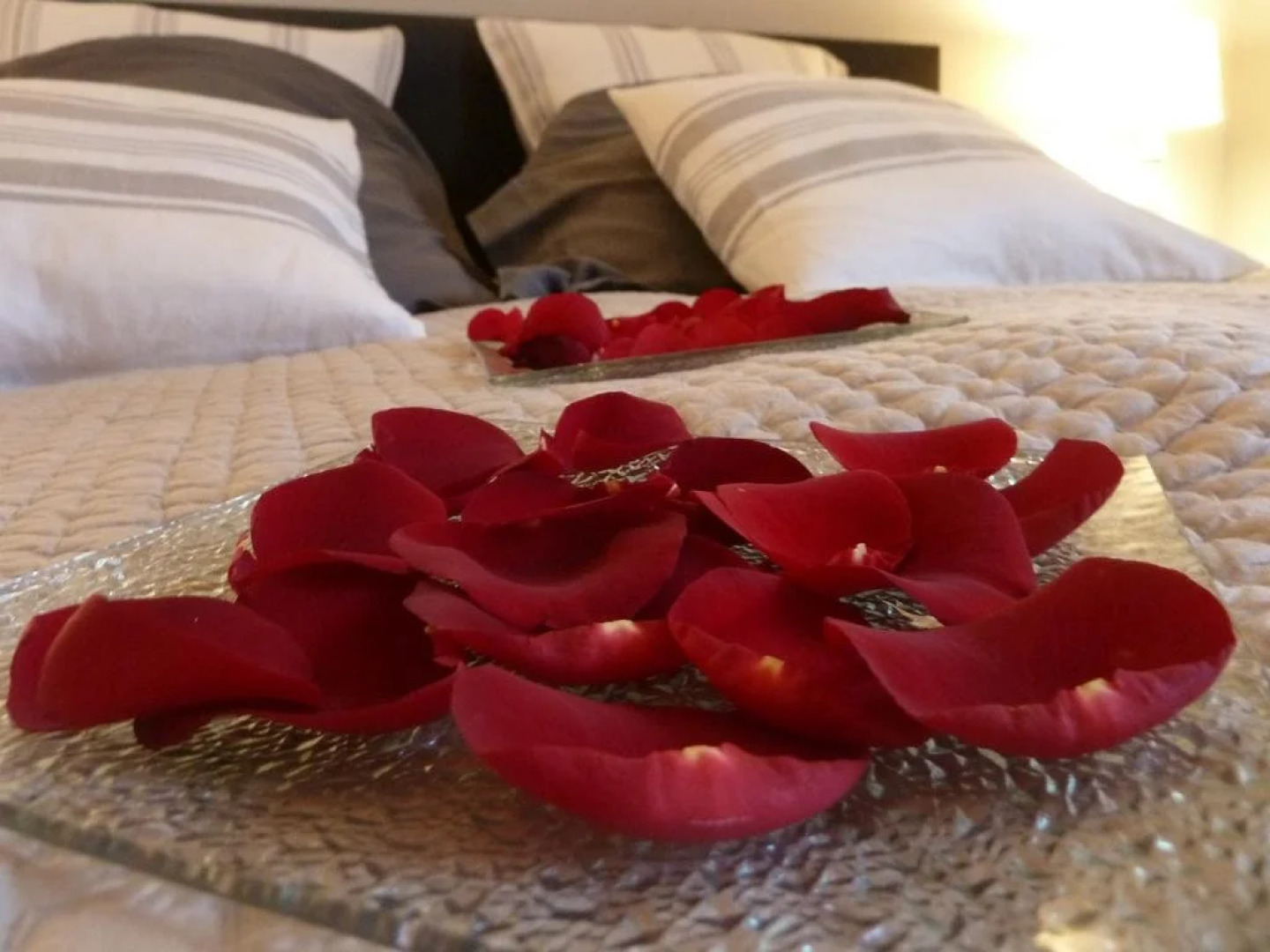 La Couette de l'Ours