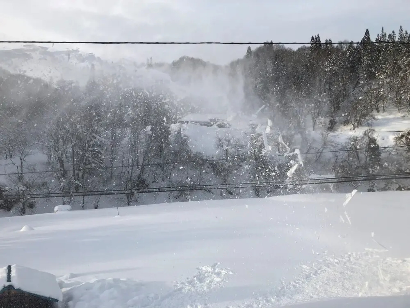 Mori no Bunko Fuzawa