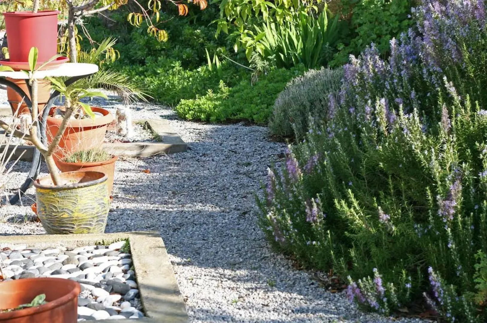 The Olive Branch Villa