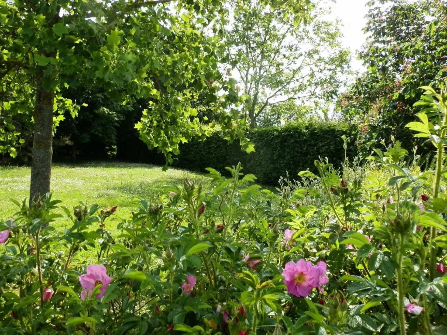 La Roulotte du Domaine de Meigné