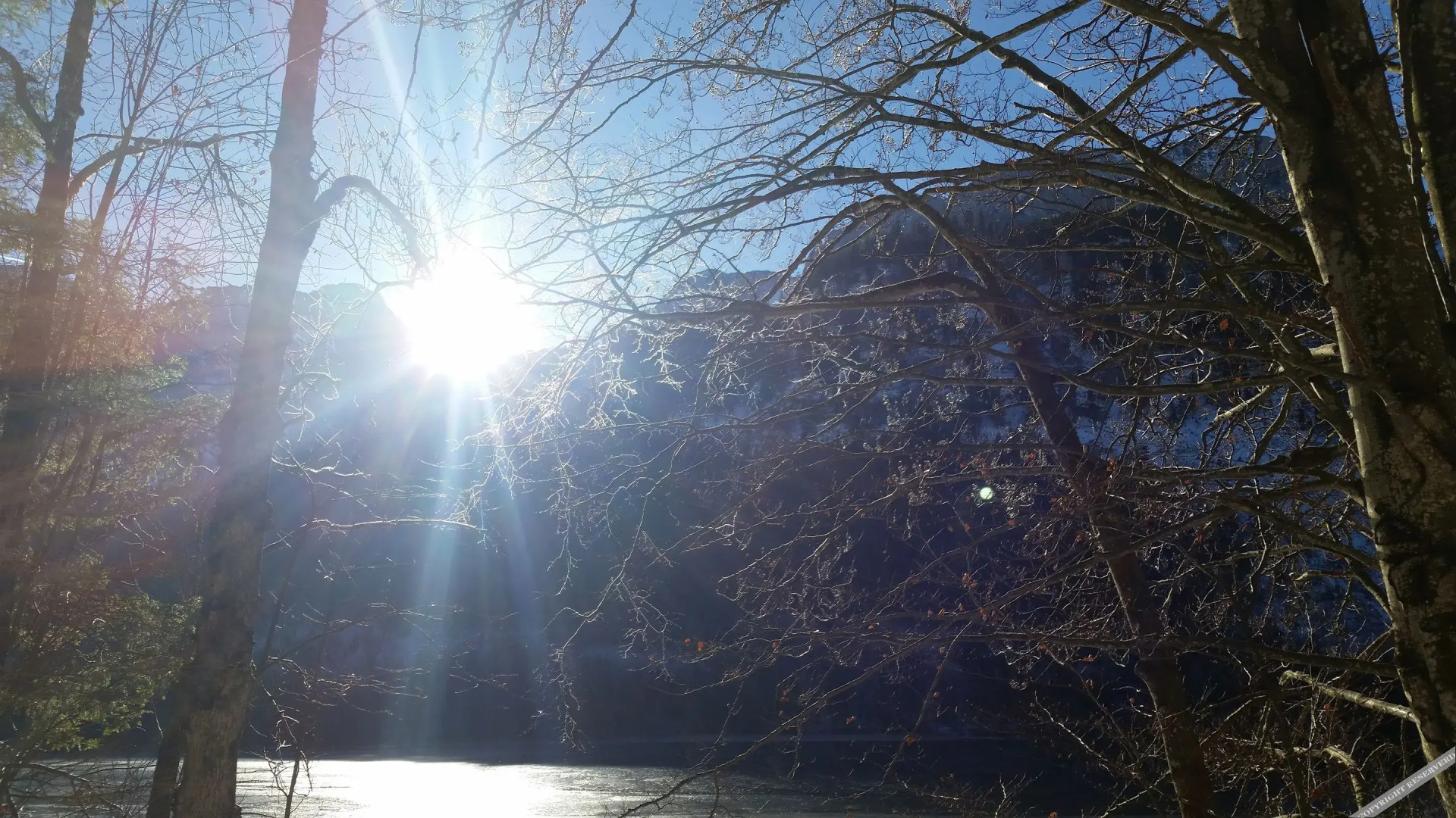 Pension Rosenstüberl