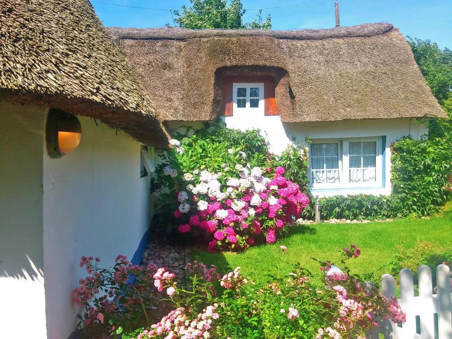 Föhrer Friesenkate West