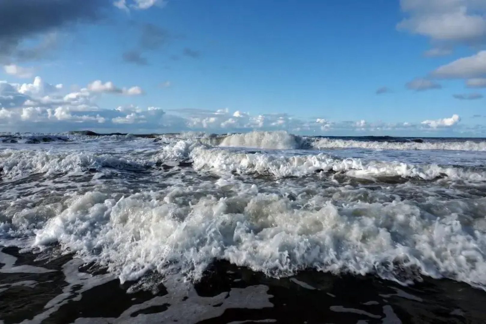 Fh Austernfischer I/Nr. 1