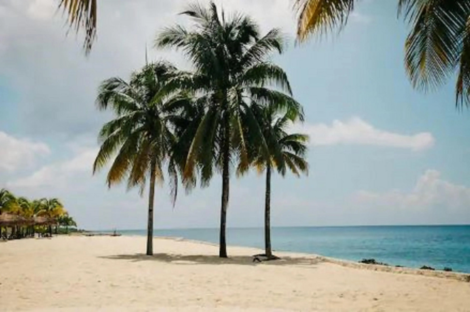 Wyndham Garden Fort Myers Beach