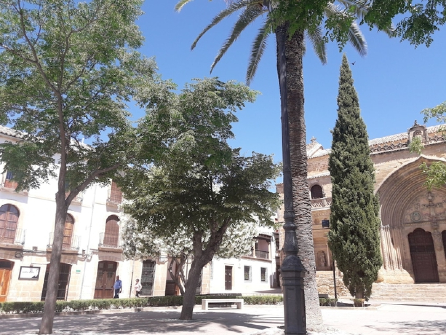 Apartamentos Sol de Mayo