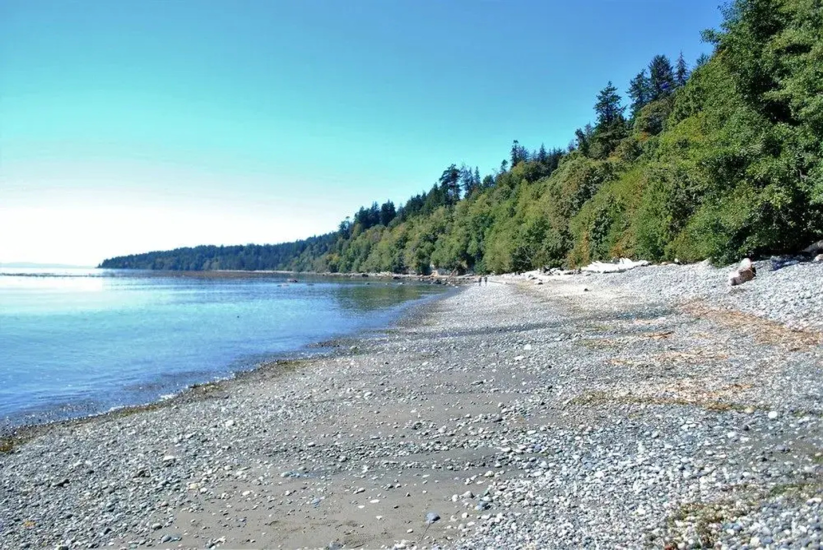 Ocean Wilderness Inn