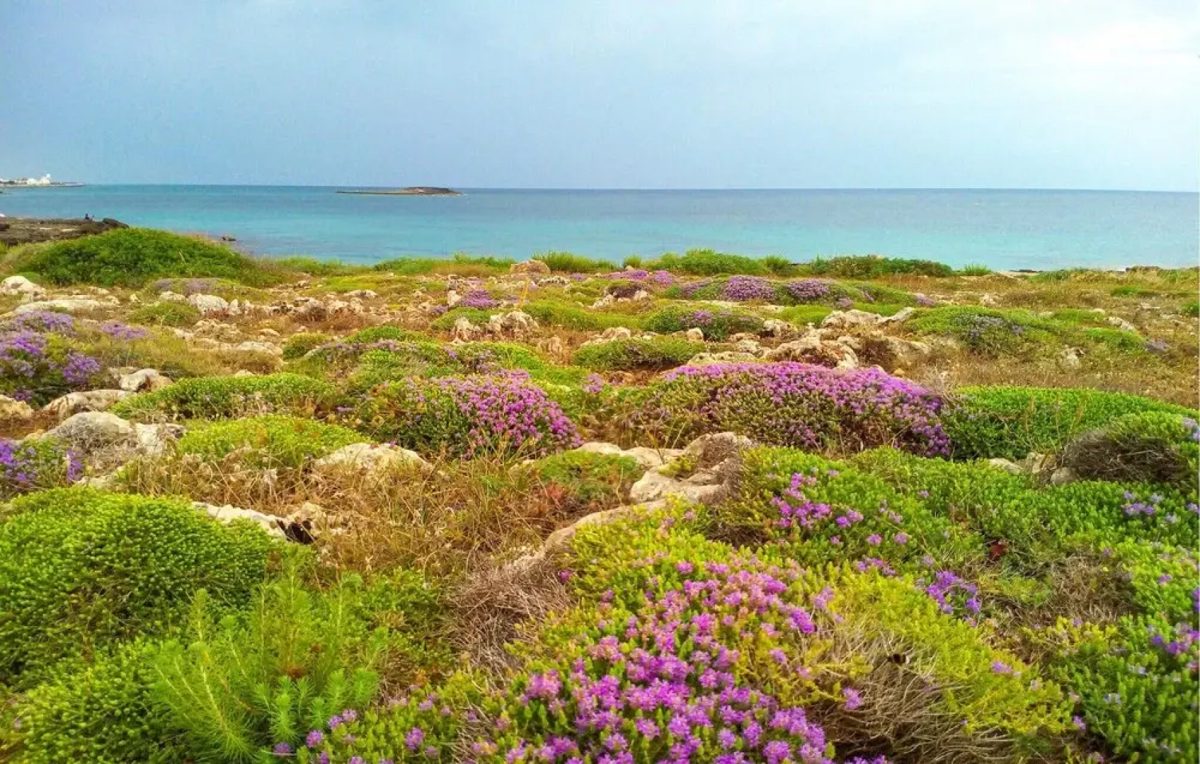 Nice Home in Poggiardo With Wifi and 2 Bedrooms