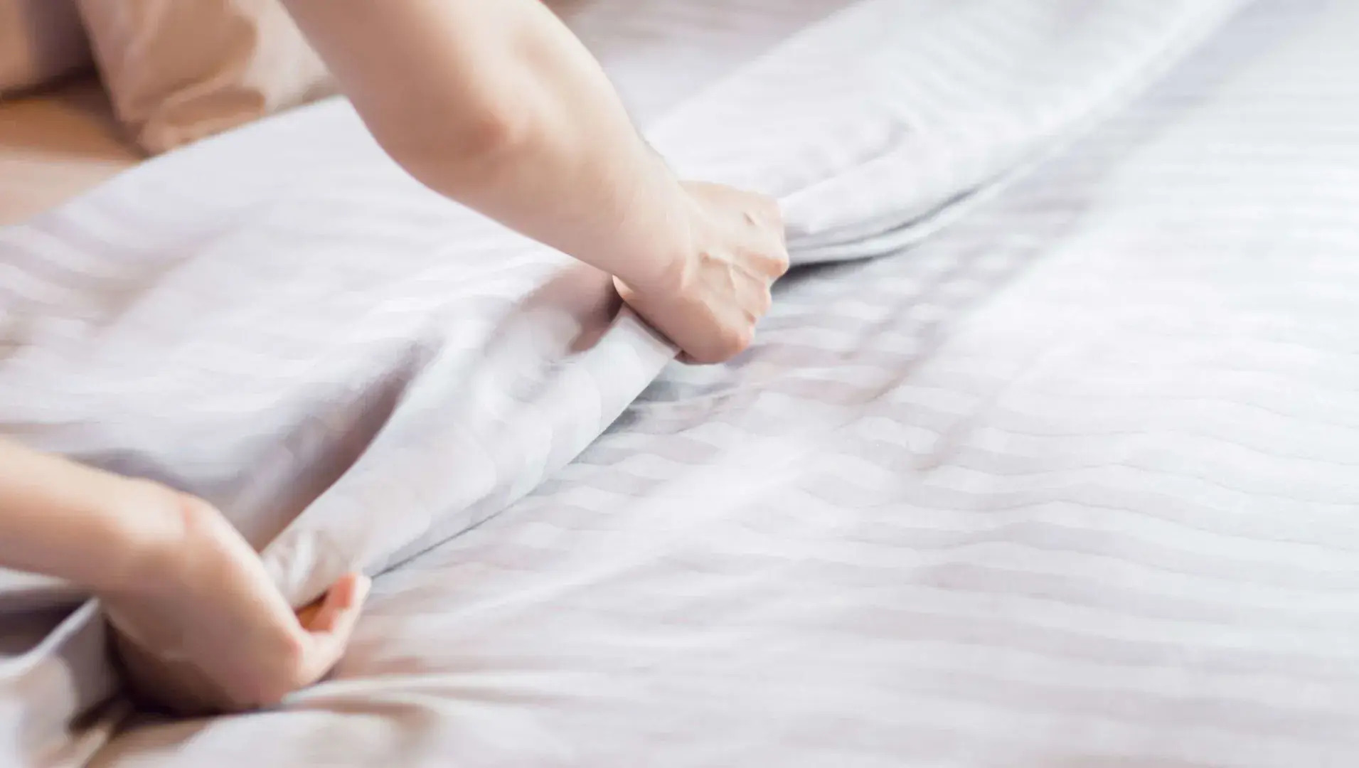 M Star Hotel Mansfield