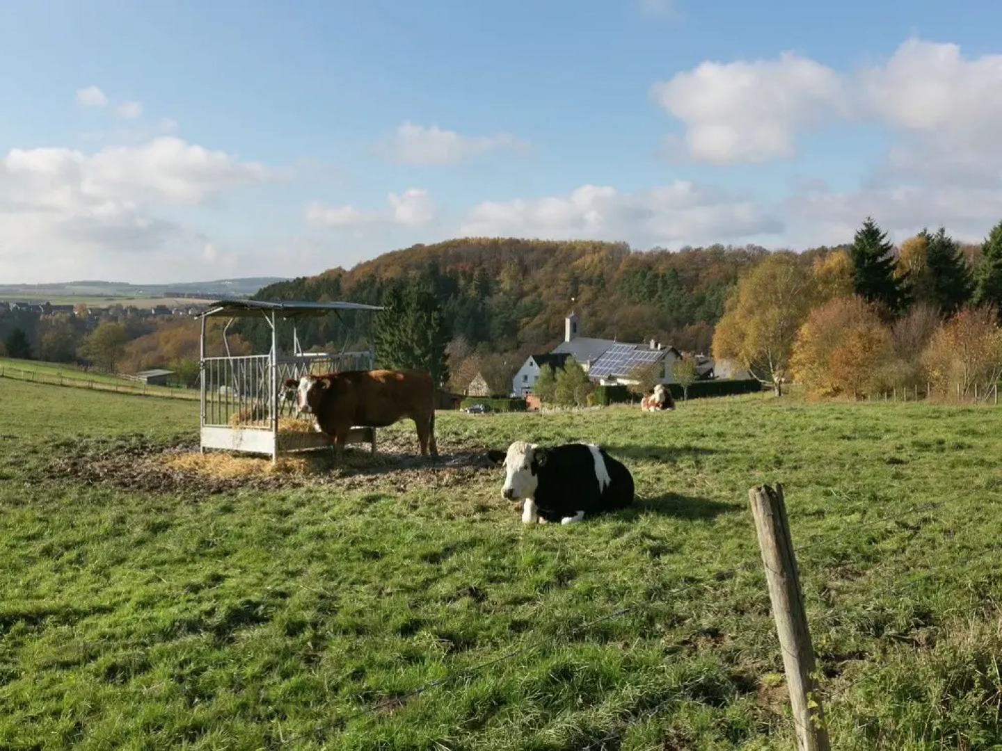 Peaceful Apartment in Morbach-morscheid With Garden