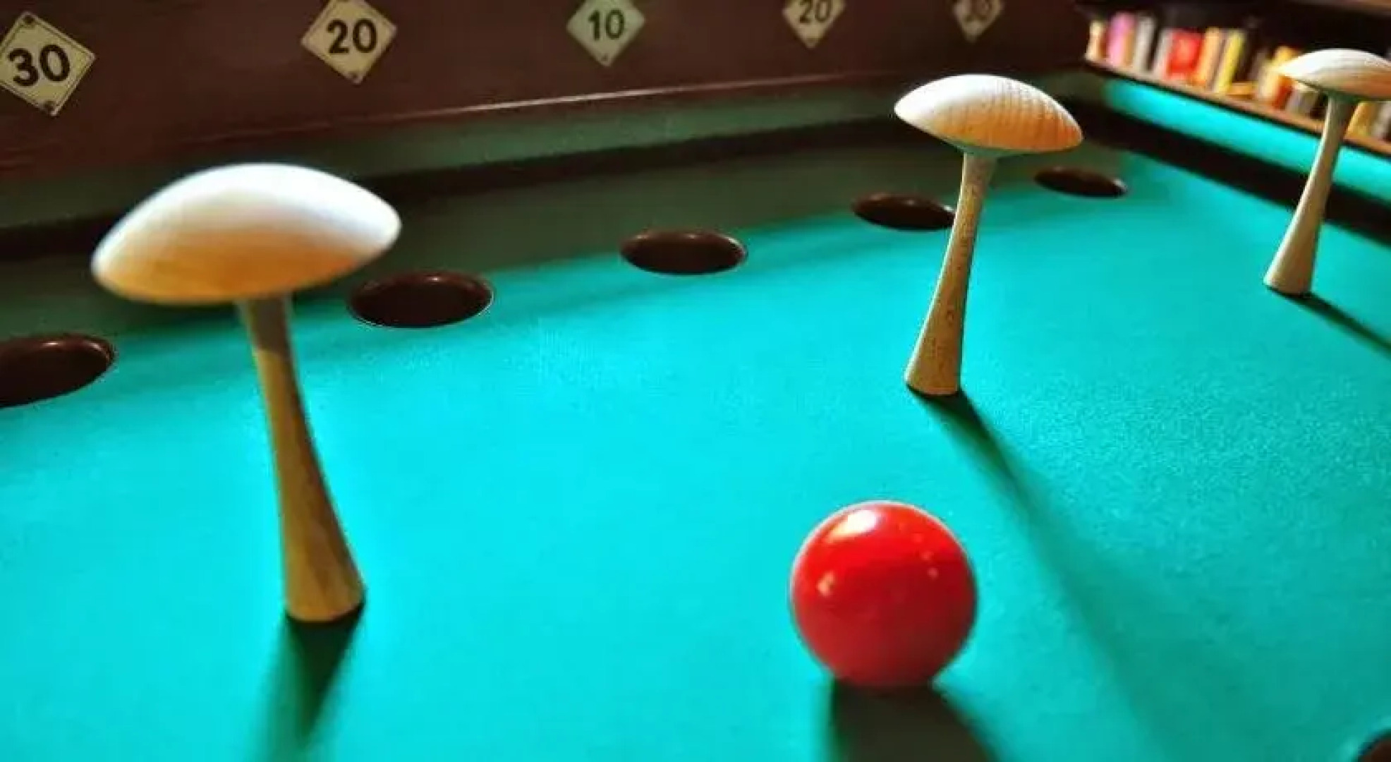 Manoir de la Manantie