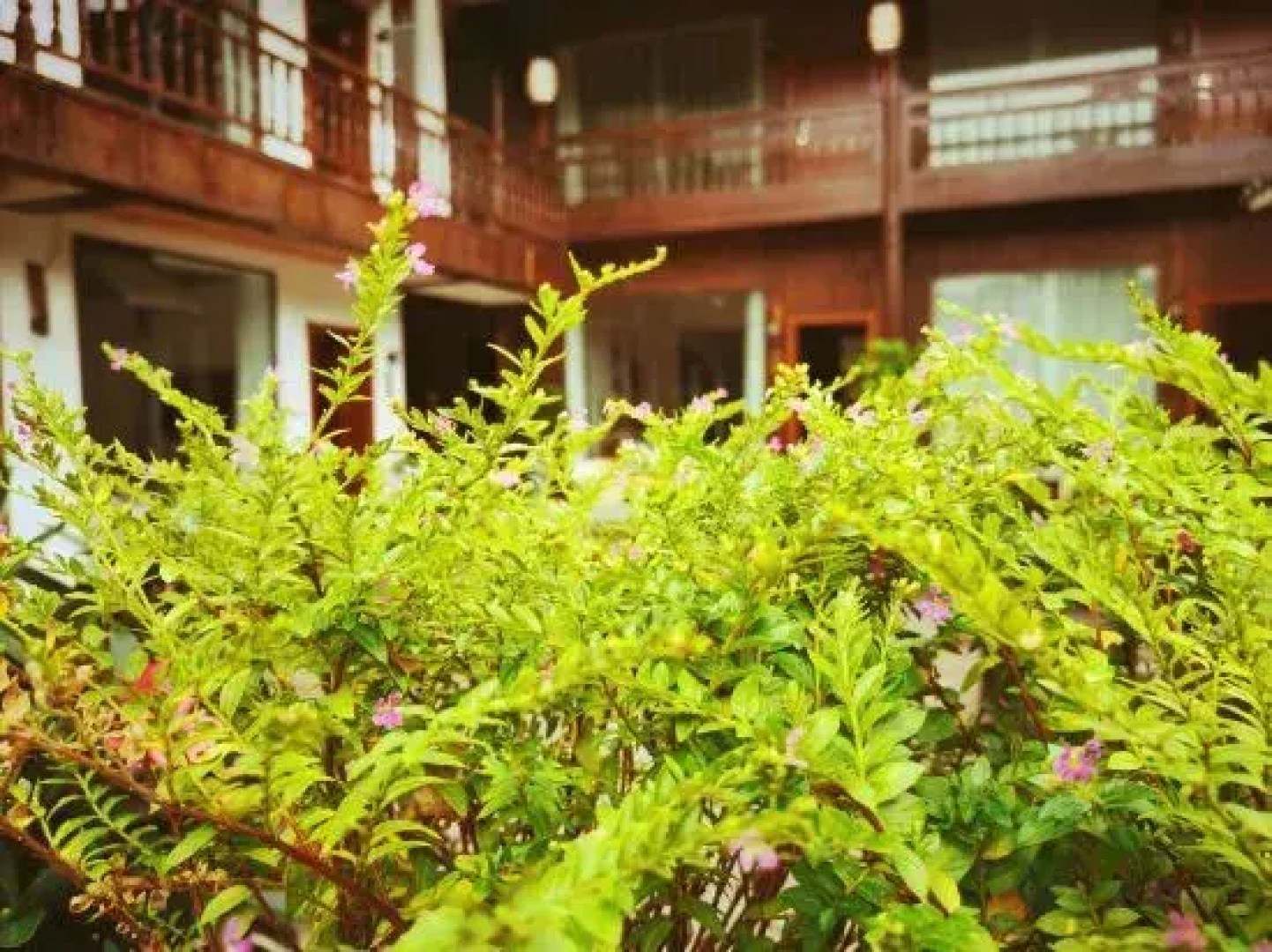 Yunxi Bieyuan Guesthouse