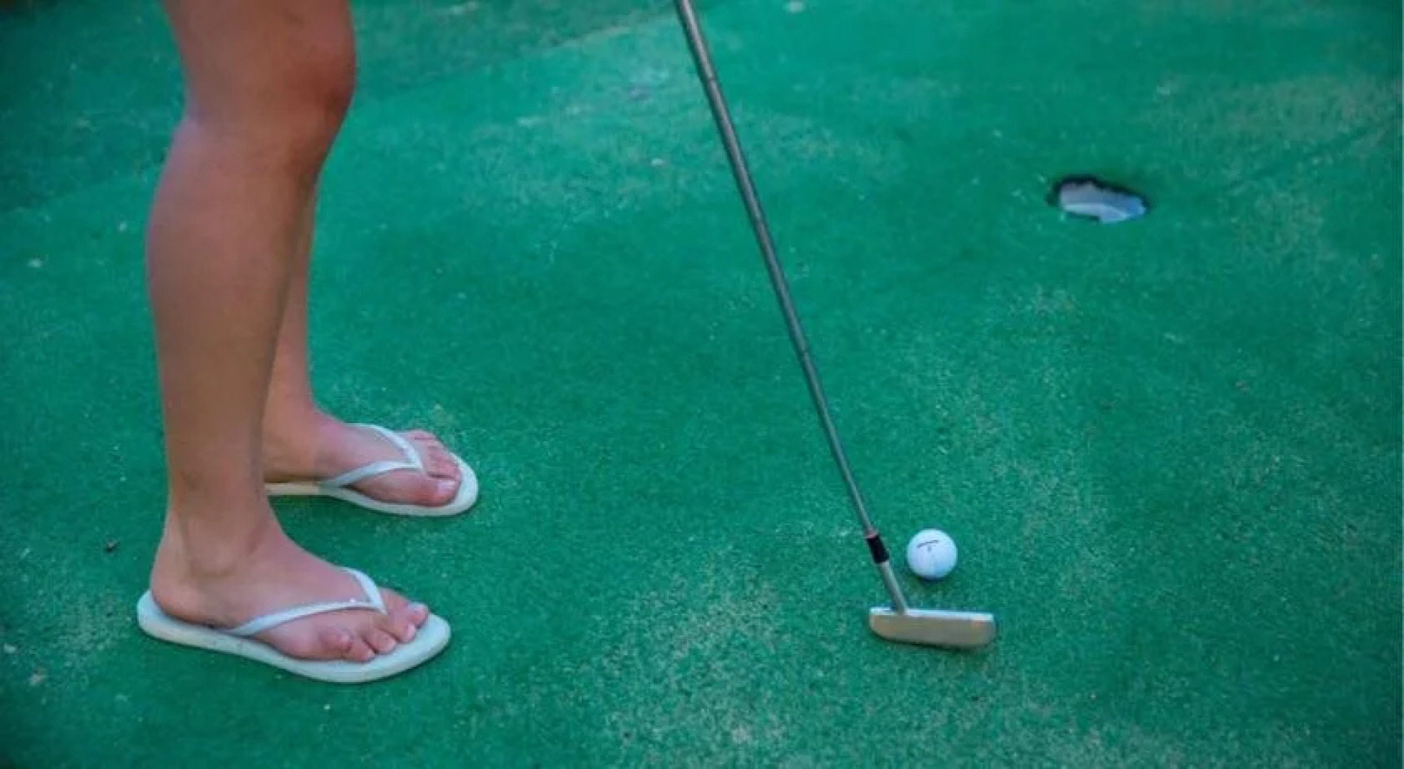 All Seasons Holiday Park