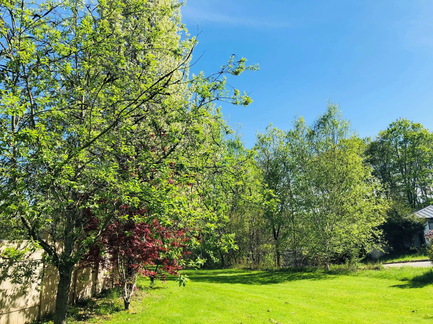 Best Western West Lebanon-Hanover Hotel