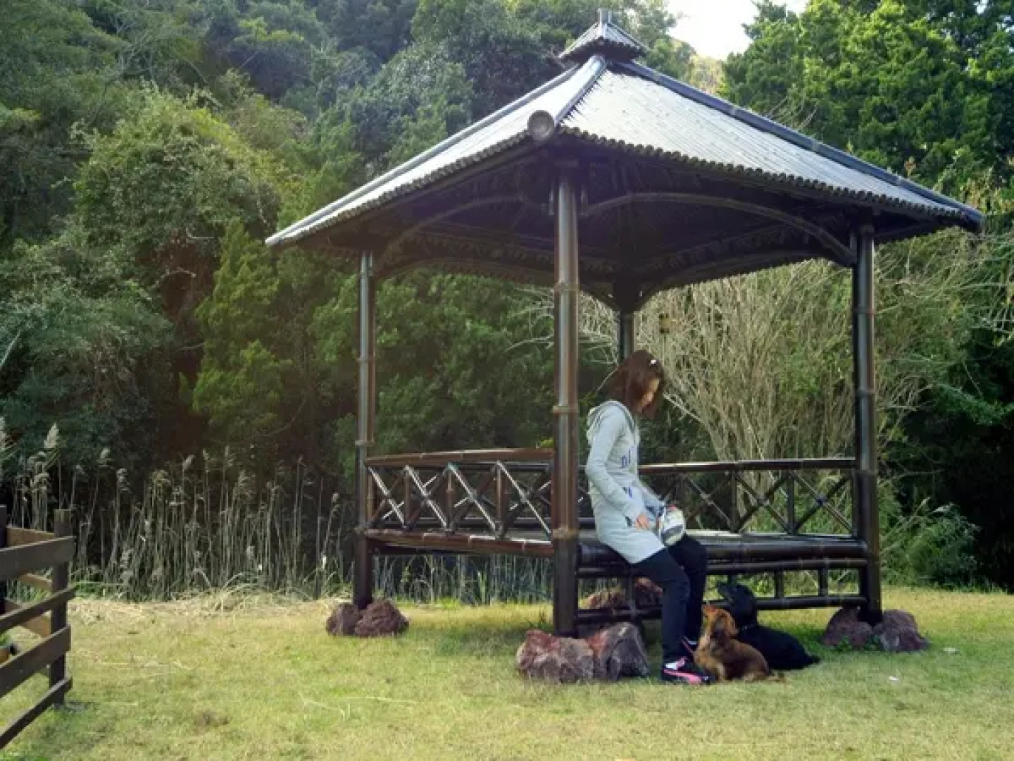 Dog Friendly Asian Resort Umiyado Taiyobito